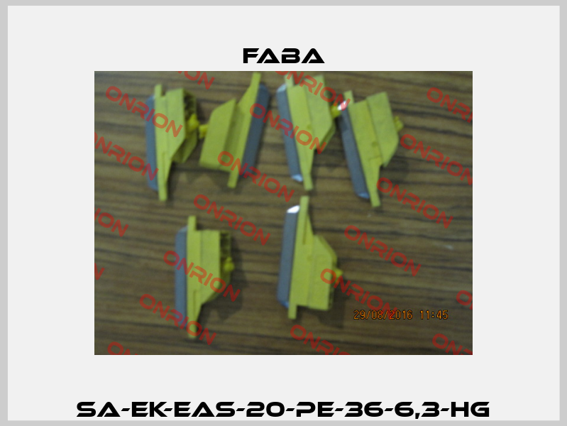 SA-EK-EAS-20-PE-36-6,3-HG Vahle