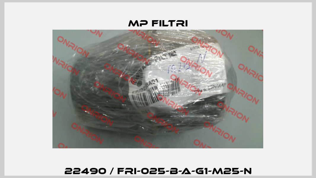 22490 / FRI-025-B-A-G1-M25-N MP Filtri