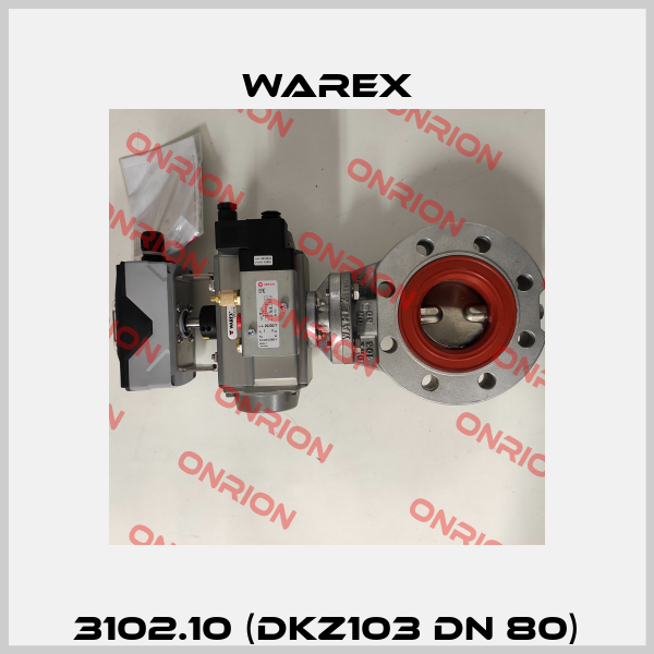 3102.10 (DKZ103 DN 80) Warex