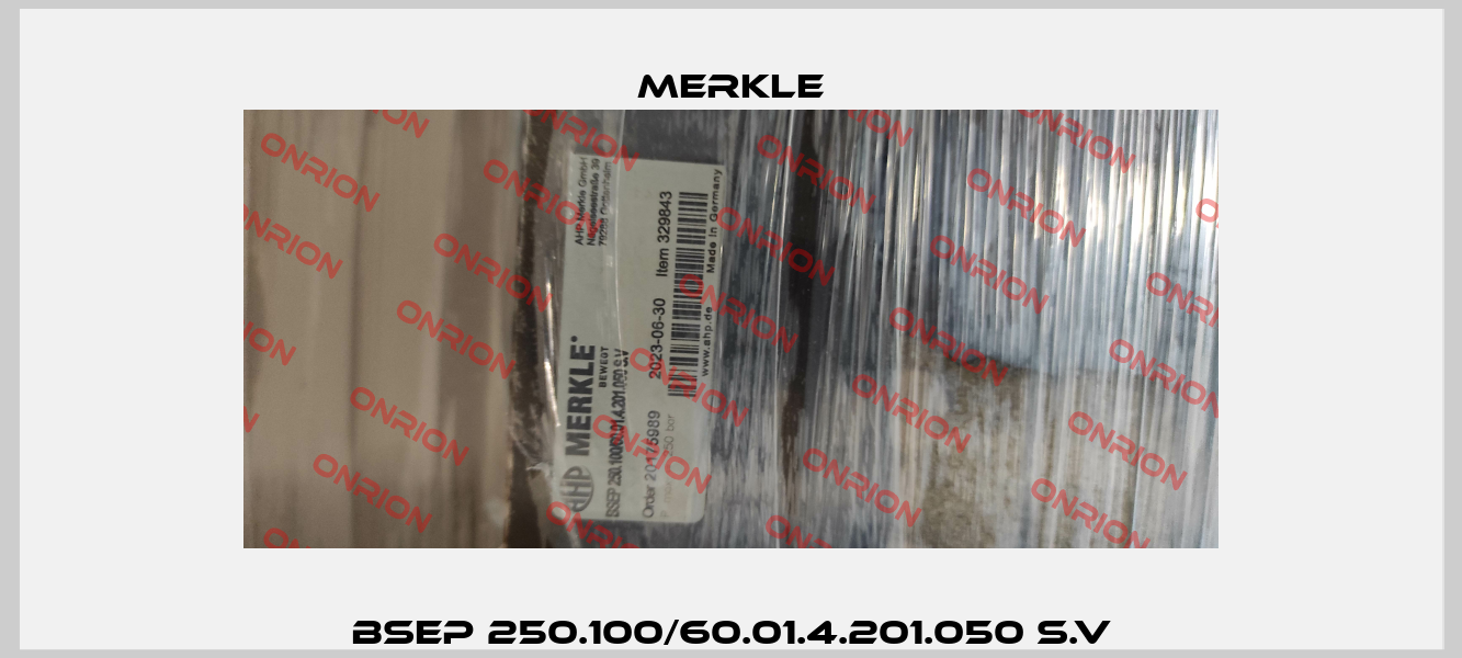 BSEP 250.100/60.01.4.201.050 S.V Merkle