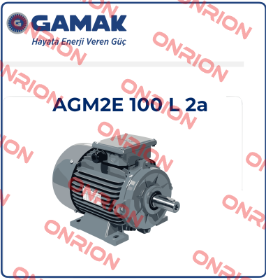 2007 177409 AGM 100 L 2 Gamak