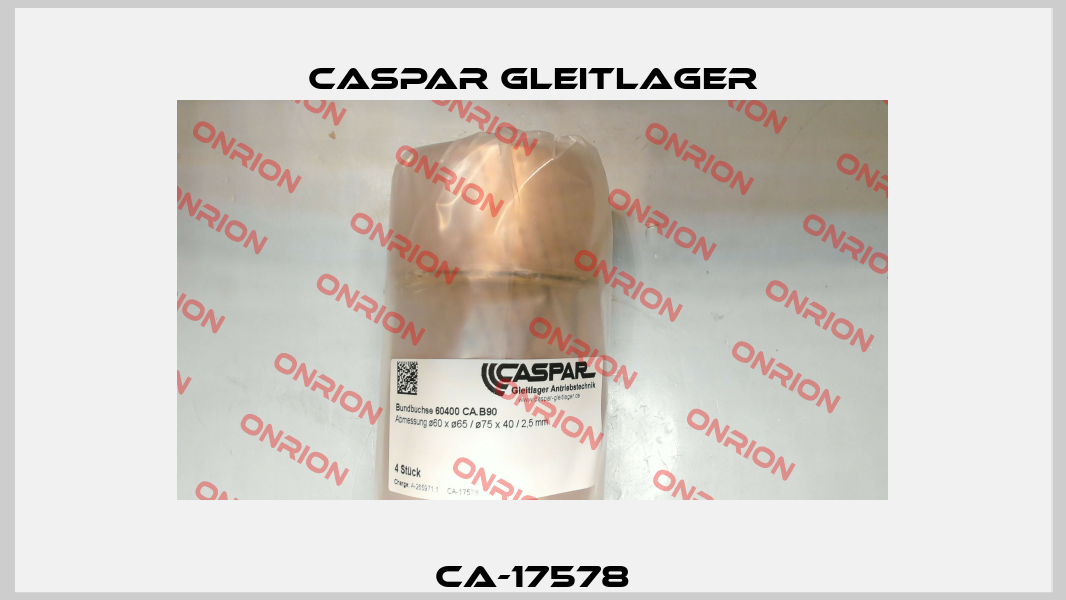 CA-17578 Caspar Gleitlager